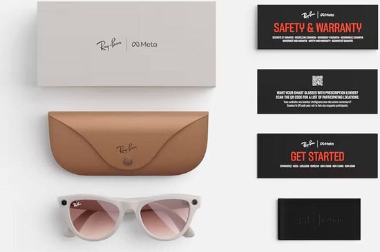 Ray-Ban Meta Skyler - RW4010 Shiny Chalky Gray, Cinnamon Pink (M 52-20) ( Розовый )