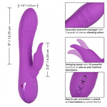 Вибромассажер-кролик CalExotics California Dreaming Valley Vamp с ритмичным стимулятором (12.75x3.75 см)