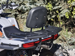 Armour 200 PRO