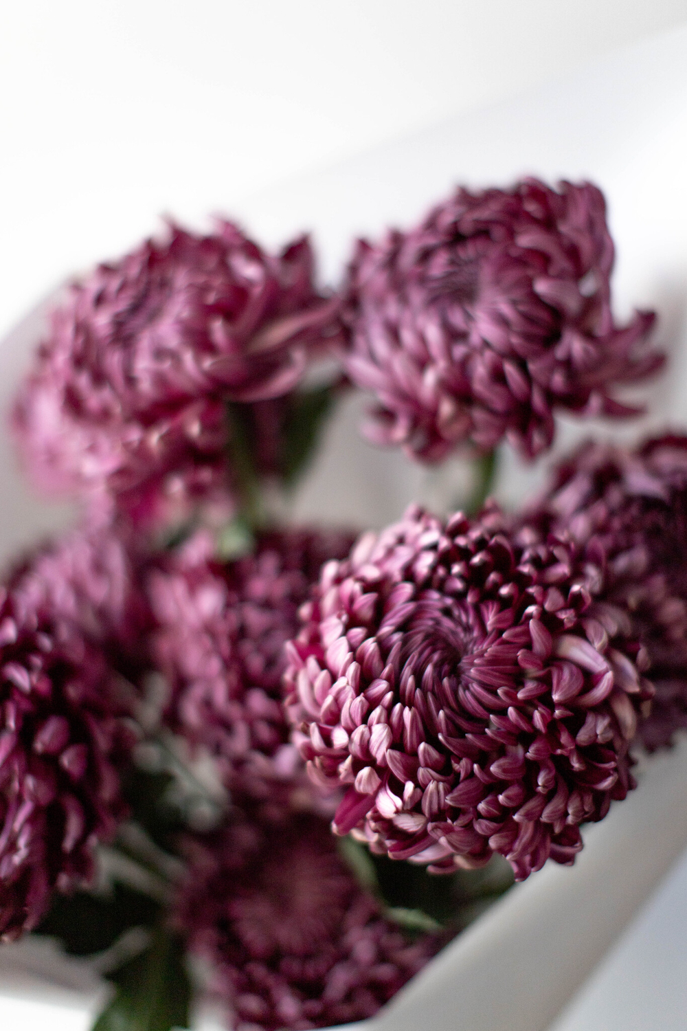 Монобукет Bigoudi Purple