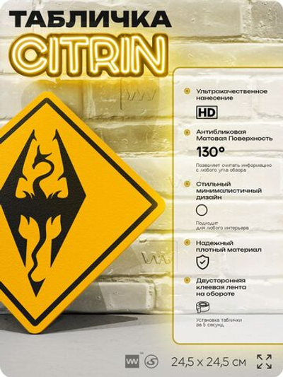 Табличка декоративная "Скайрим, Skyrim" на дверь и стену, прикольная штука в подарок геймеру, декоративный знак, 24,5х24,5 см, Айдентика Технолоджи