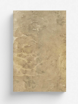 Манускрипт Войнича  The Voynich Manuscript | Нет автора