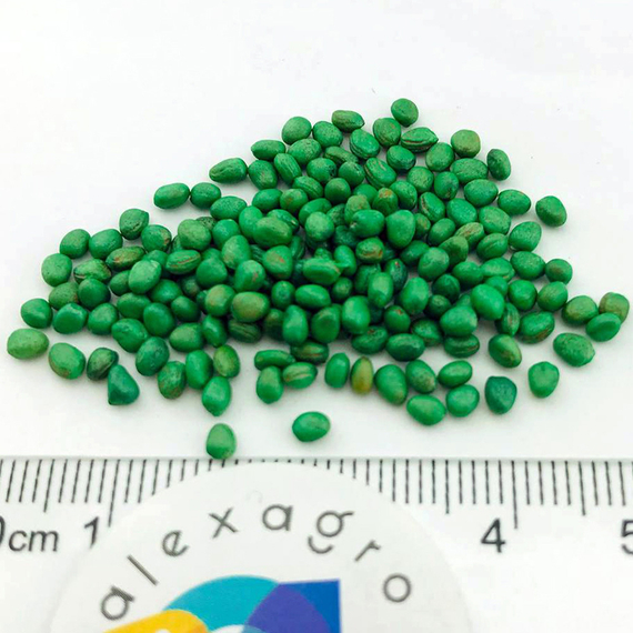 Мелито F1 семена редиса (Hazera / ALEXAGRO) семена – фото 11