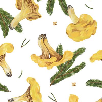 Лисички (белый)