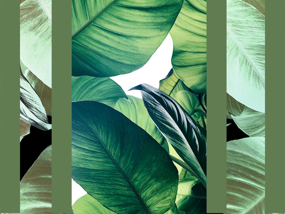 Дизайнерские обои Wall Street GreenDay-22