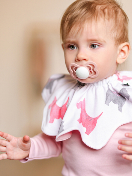 Нагрудник сет из 2х LooJoo Курочки / Пудра и Собачки / Пудра