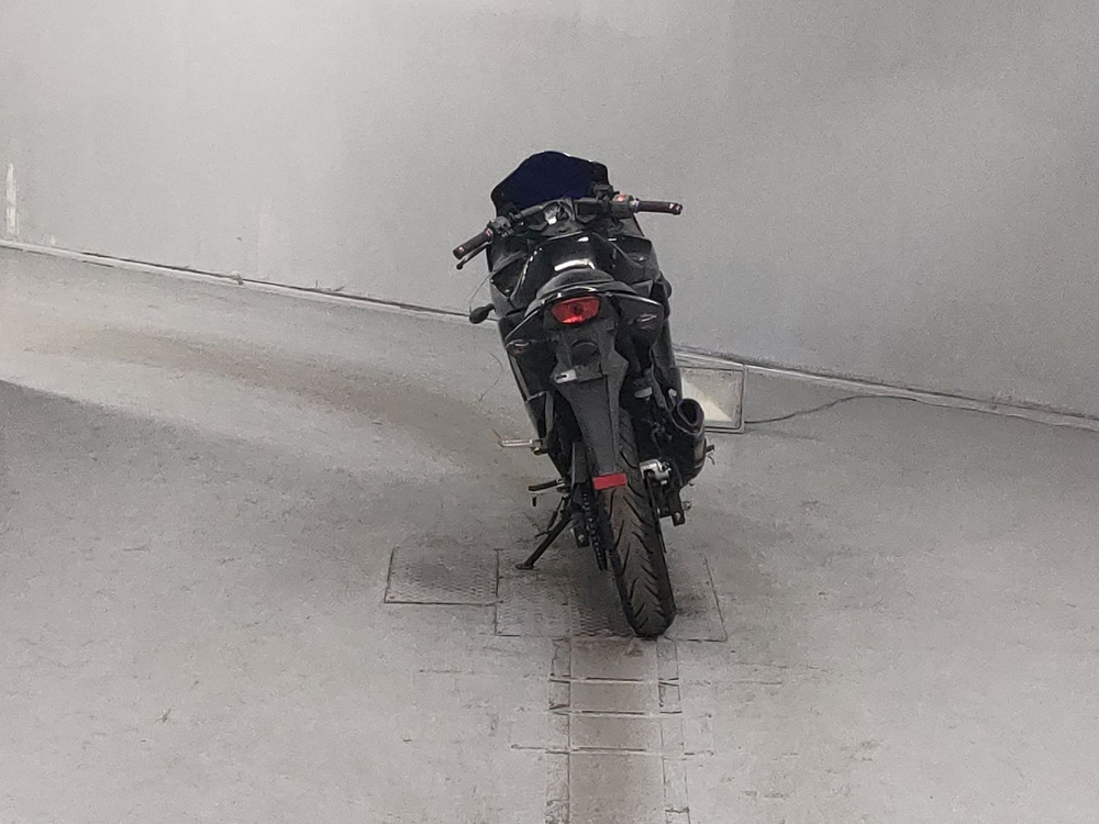 Kawasaki Ninja 250R , 2010