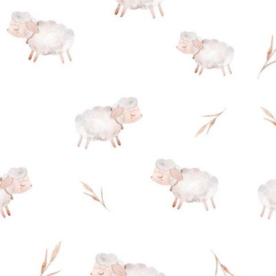 Овечки на белом