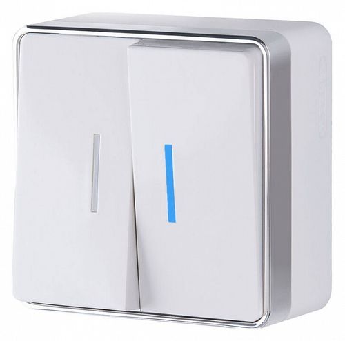 Выключатель двухклавишный Werkel W5020101