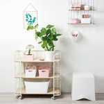 Контейнер для хранения boxxx, organic, 3,5 л, черный