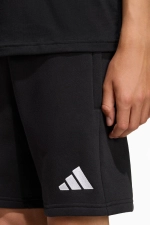 Шорты adidas Entrada 26 Sweat Junior - черный