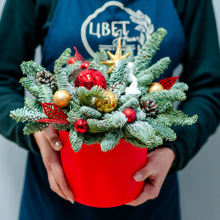 Новогодняя композиция из нобилиса 9