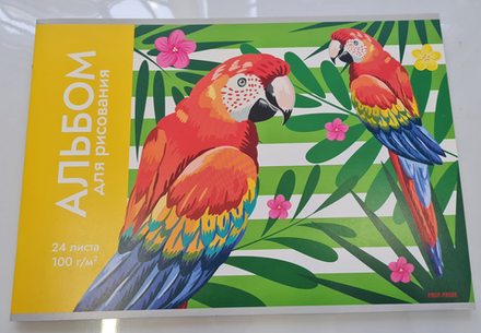 Альбом для рисования 24 листа Микс-116 Проф-Пресс 24-3843