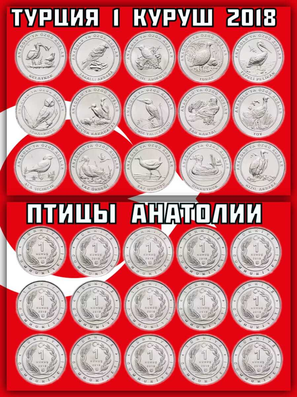 Турция 1 Куруш 2018, Птицы Анатолии,набор 15 монет