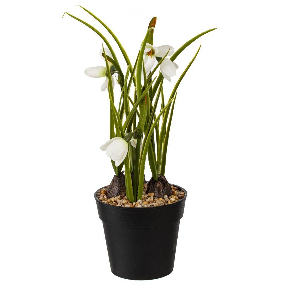 GAEM Цветочная композиция "Подснежник", L10 W9,5 H29 см