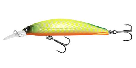 Silver Shiner