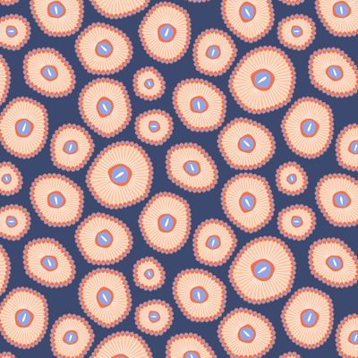 Кораллы Зоантарии на синем фоне