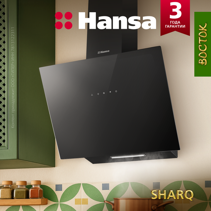 Наклонная вытяжка Hansa OKP653SBH