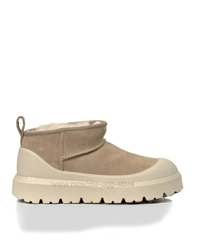 ULTRA MINI HYBRID Mustard Seed