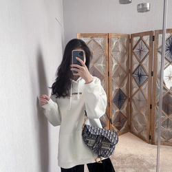 Christian Dior Saddle Bag 25 cm