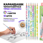 Набор черных простых заточенных карандашей, 12 шт, с ластиком, MC-Basir, с рисунком Дракончиков, деревянные обычные чернографитные карандаши для начинающих, HB (твердо-мягкий)