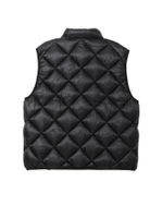 Жилет Утепленный Obey Compass Vest