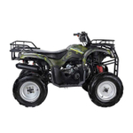 Квадроцикл WELS Purga 170