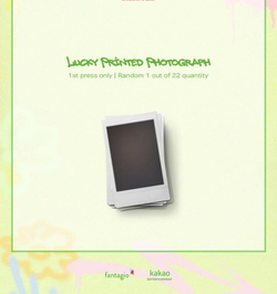 Альбом CHOI YOO JUNG - Sunflower 1st Single Album RANDOM Version
