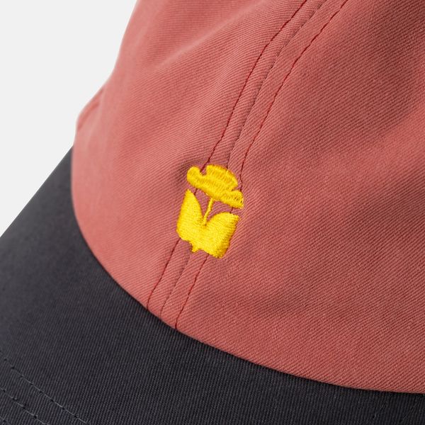 Кепка SS24 Dad Flower Indian Red - фото 3