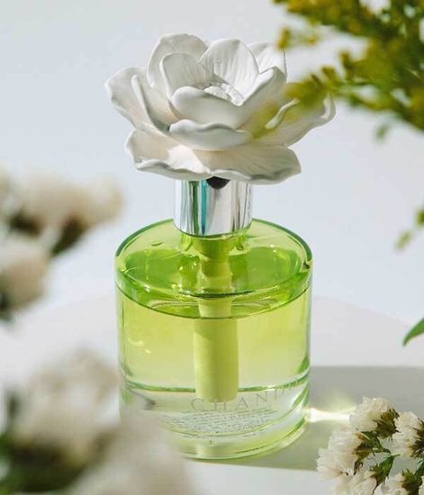 Gardenia Breeze, ароматический диффузор с необычными палочками, Chando