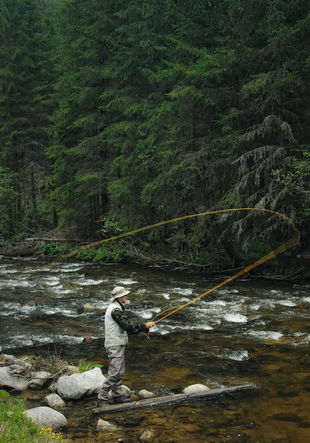 Ассортимент магазина