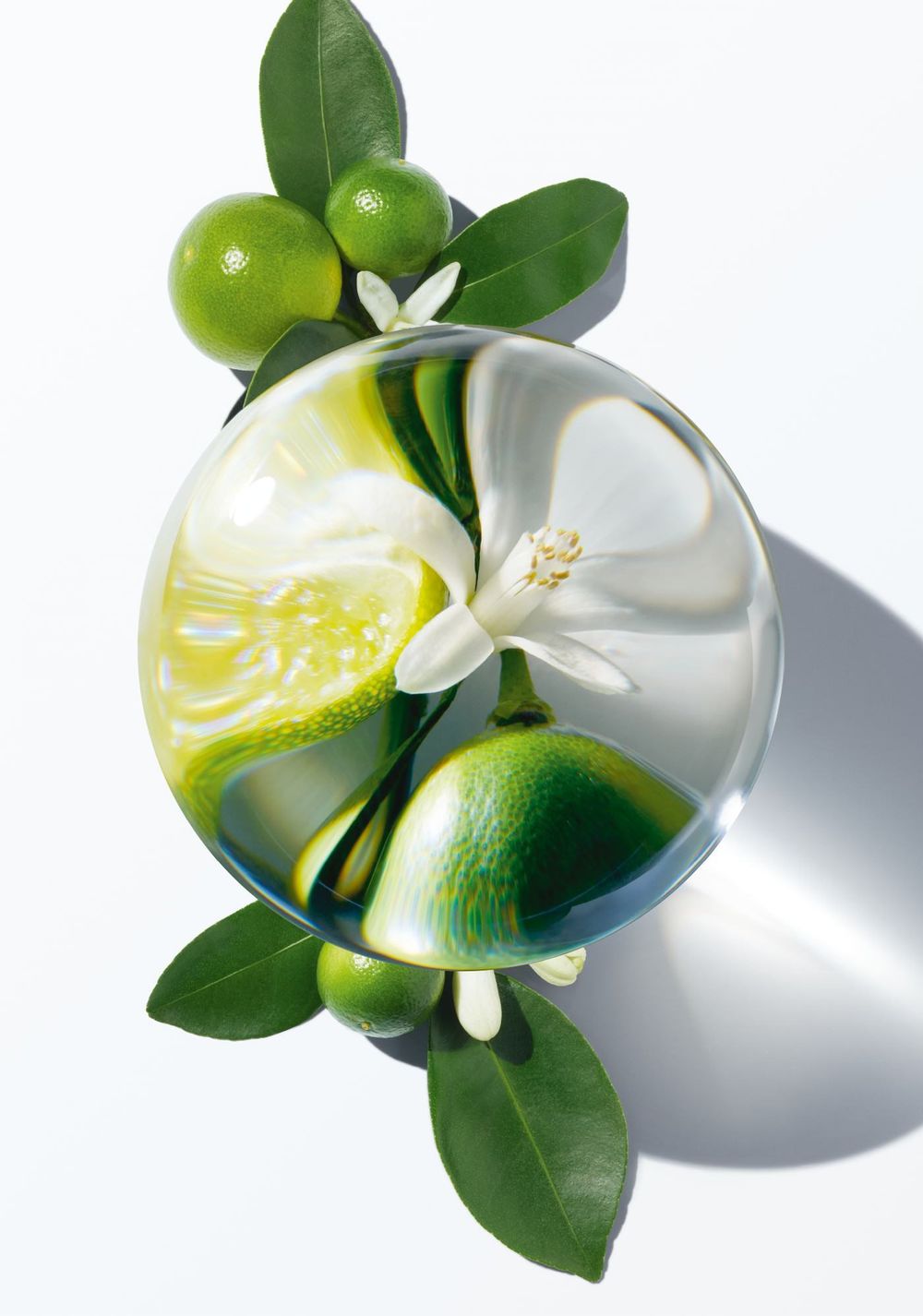 Carolina Herrera Citrus Elixir