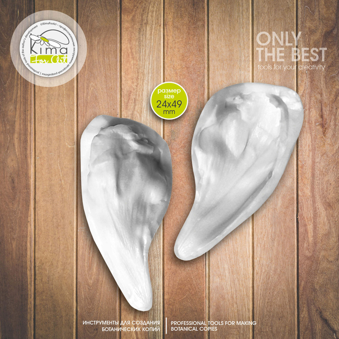 Пион Coral лепесток маленький