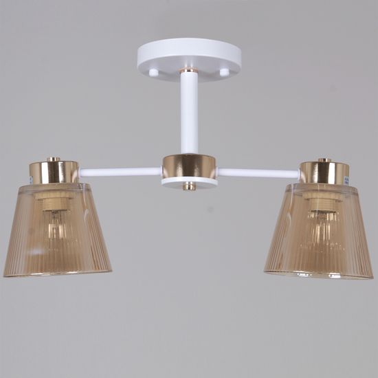 20560-0.3-02 WH+FG светильник потолочный