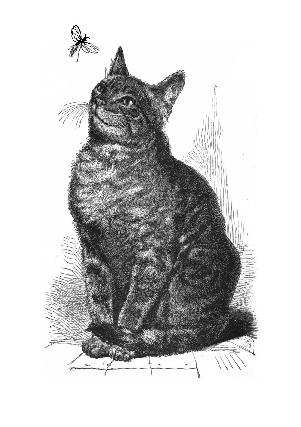 McGuffey's eclectic primer | William Holmes McGuffey