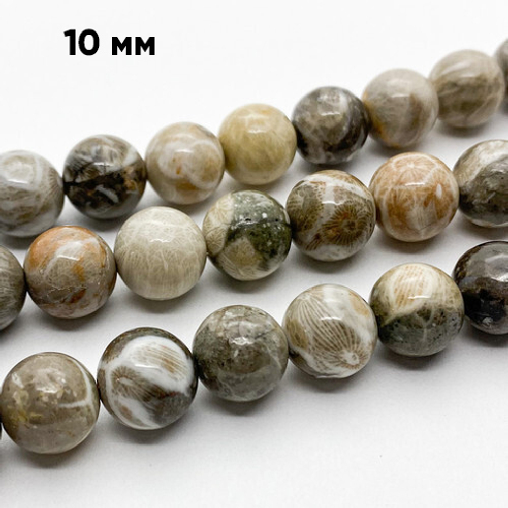 Бусины Коралл окаменелый, диаметр 9,7-9,8 мм, цена за 10 шт (1/4 нити)