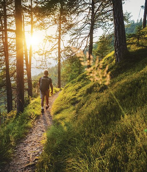 Заземление ароматический воск, Candle Warmers
