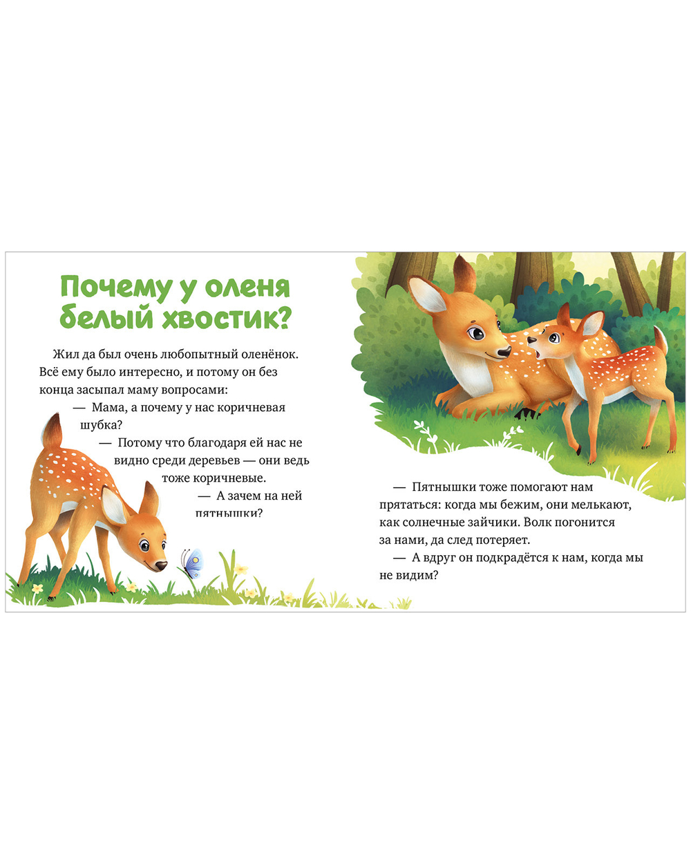 Любознательный малыш. Лесные малыши