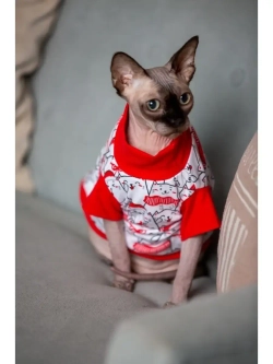 Футболка для собак мелких средних пород и кошек