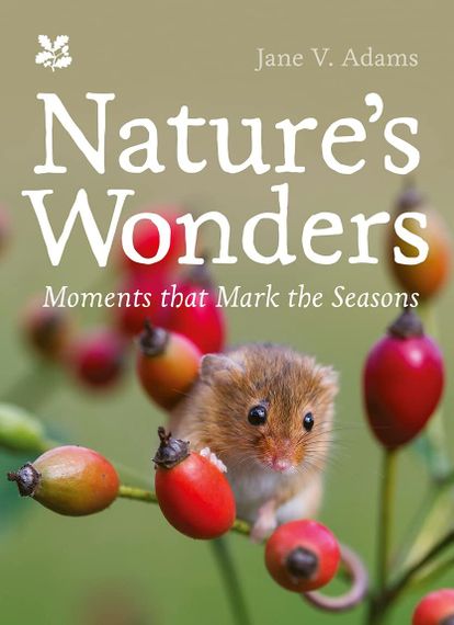 Nature&#39;s Wonders