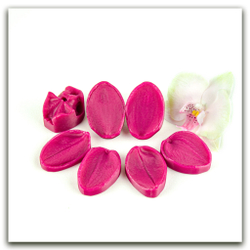 Орхидея фаленопсис L