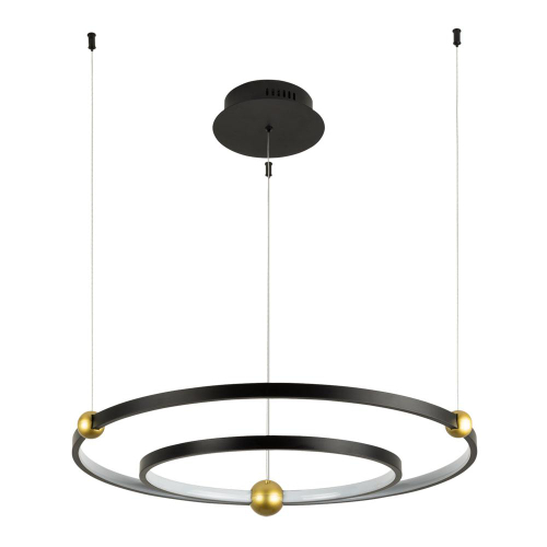 Подвесная светодиодная люстра Divinare Amadeo 1123/04 SP-65