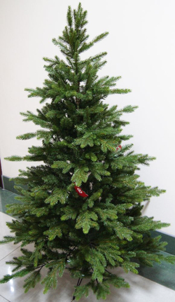 Сосна 230 см Black Box Ирландская Голландия вид