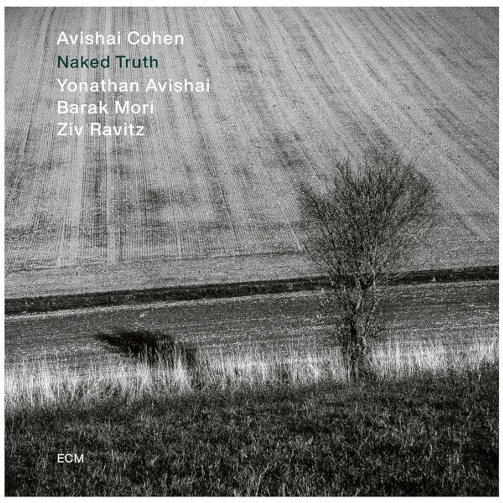 Avishai Cohen Quartet / Naked Truth (CD)