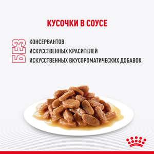 Пауч Royal Canin INDOOR STERILISED для взрослых кастрированных и стерилизованных кошек, живущих в помещении, кусочки в соусе