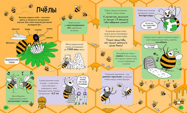 Насекомые и не только