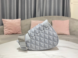 Christian Dior Saddle 26 cm