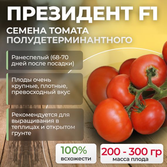 ПРЕЗИДЕНТ F1 семена томата полудетерминантного (Seminis)