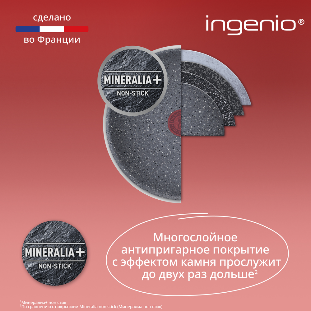 Набор посуды со съемной ручкой Tefal Ingenio Natural Force 5 предметов 16/20/22/28 см L3969053