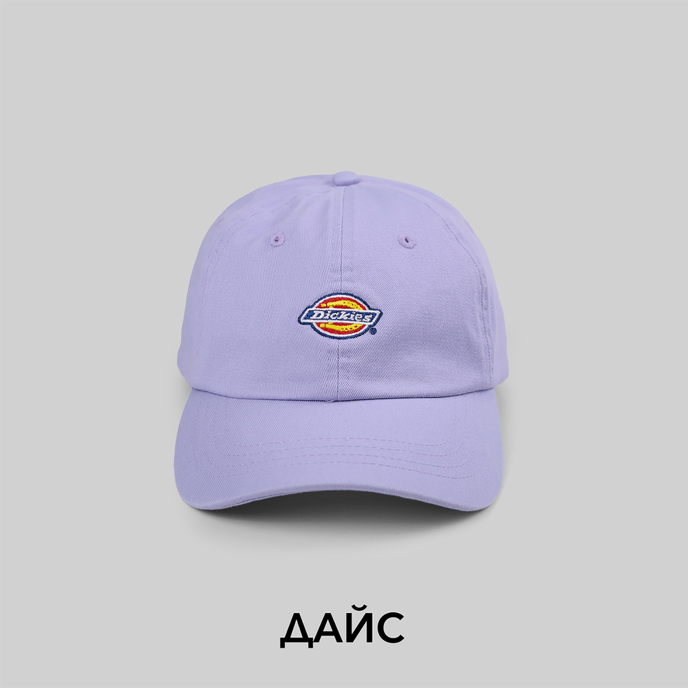 Кепка Dickies Hardwick 6 Panel Logo - купить в магазине Dice с бесплатной доставкой по России